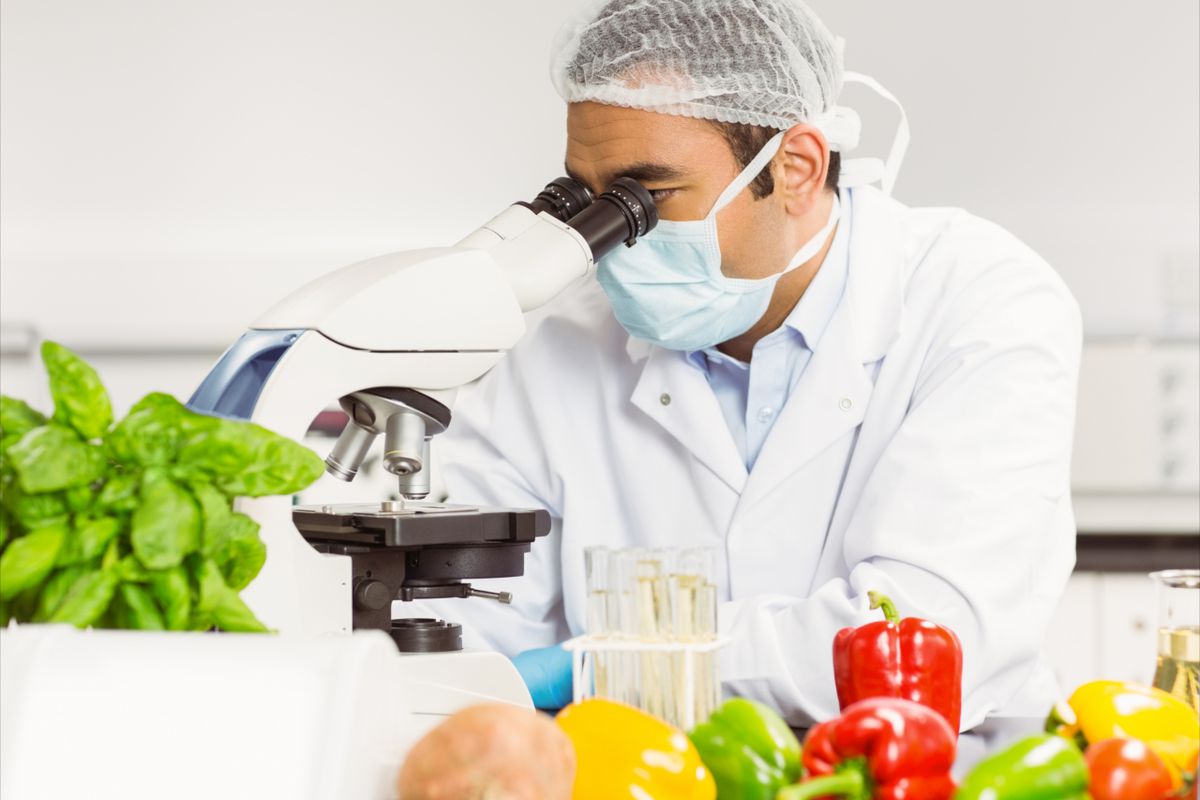 PhD Food Technology