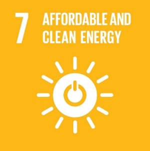 SDG 1