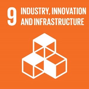 SDG 2