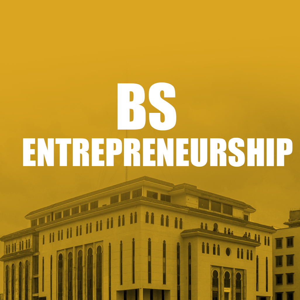 Bachelor of Science in Entrepreneurship